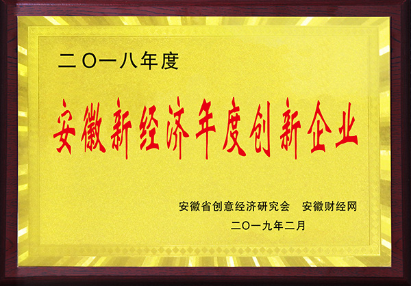 安徽新經(jīng)濟(jì)年度創(chuàng)新企業(yè).jpg