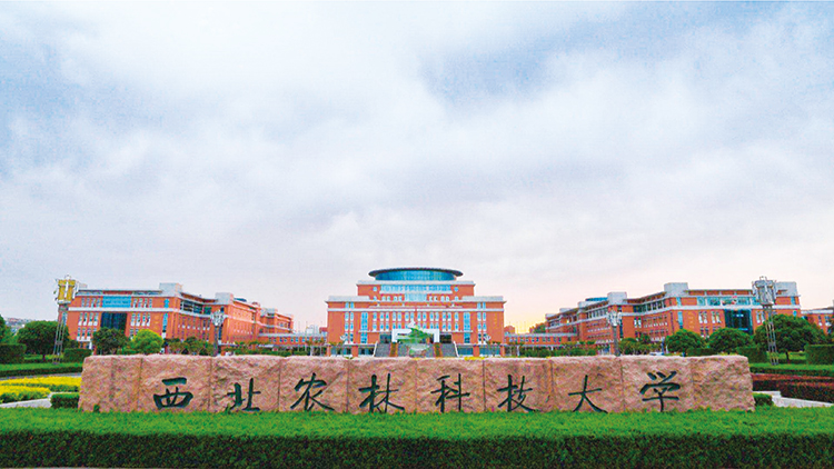 西北農(nóng)林科技大學(xué).jpg